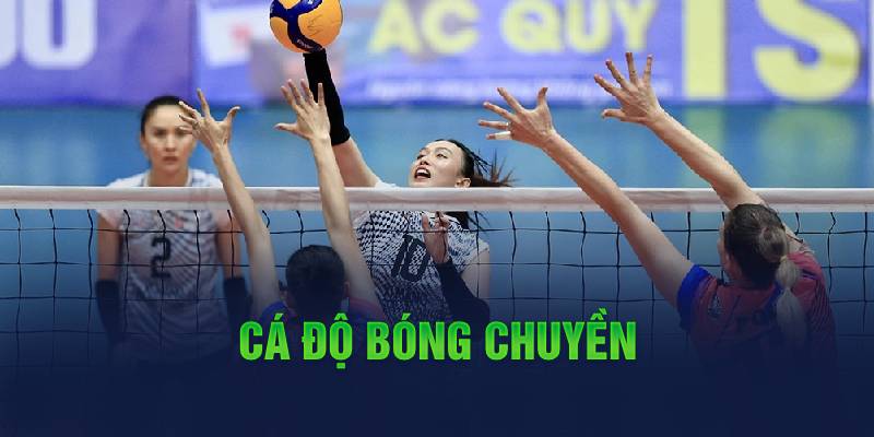 Cá độ bóng chuyền
